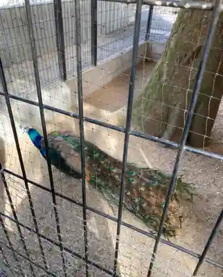 田中神社(京都府)