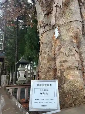 住吉神社(岩手県)
