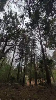 子ノ神社(東京都)