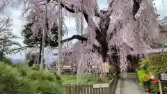 慈雲寺(山梨県)