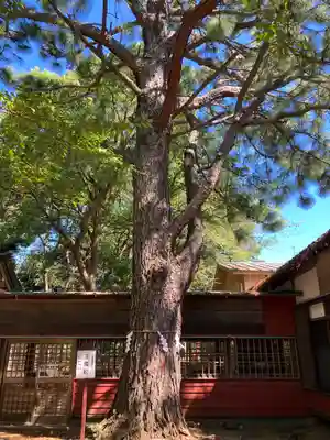 前原御嶽神社(千葉県)