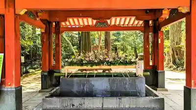 武蔵一宮氷川神社の手水舎