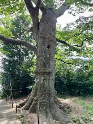 愛宕神社(福島県)