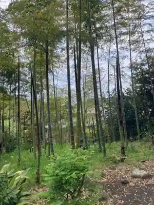 仏行寺（佛行寺）(神奈川県)