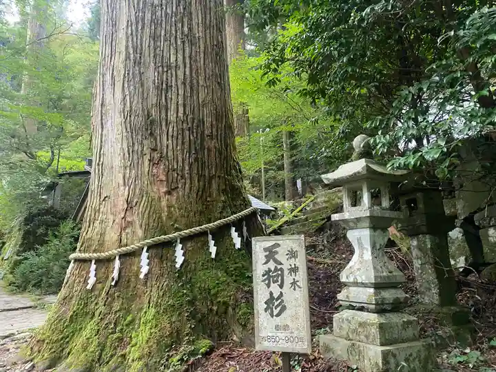 英彦山豊前坊高住神社(福岡県)
