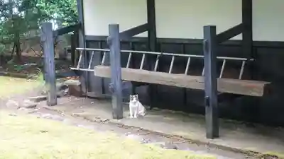 大乗寺(石川県)