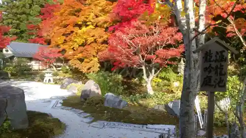 南禅寺の庭園