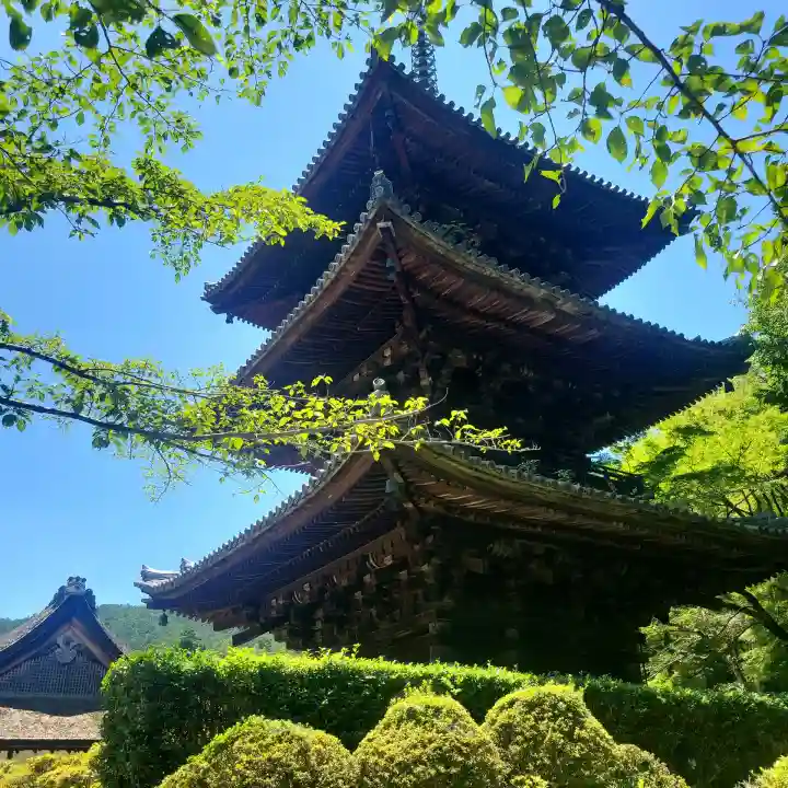 園城寺(三井寺)(滋賀県)