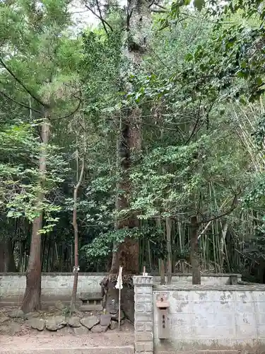 神魂伊能知奴志神社(島根県)
