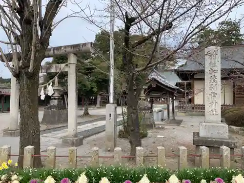 加茂別雷神社の鳥居