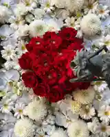 札幌諏訪神社の手水舎