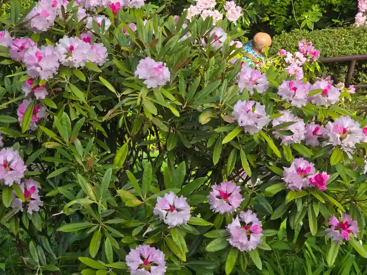 元本坊 本願院(開山坊)(奈良県)