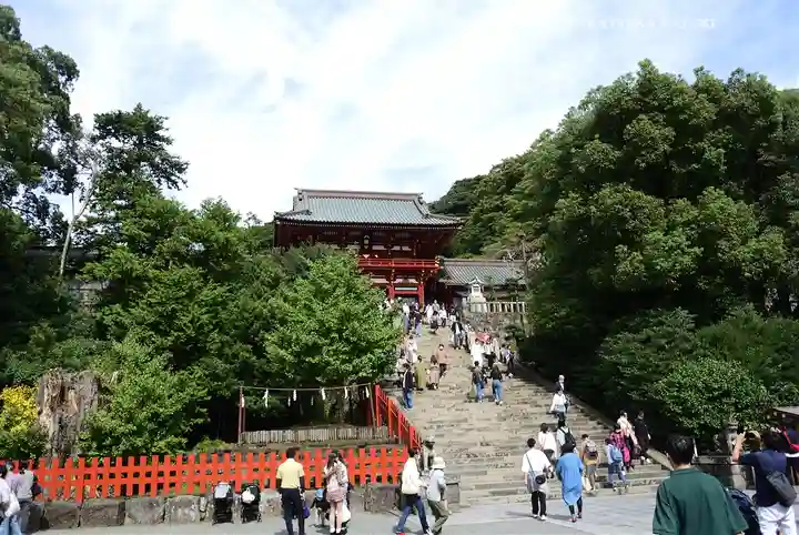 鶴岡八幡宮の本殿・本堂