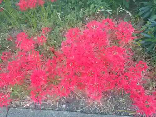 福寿院(東京都)