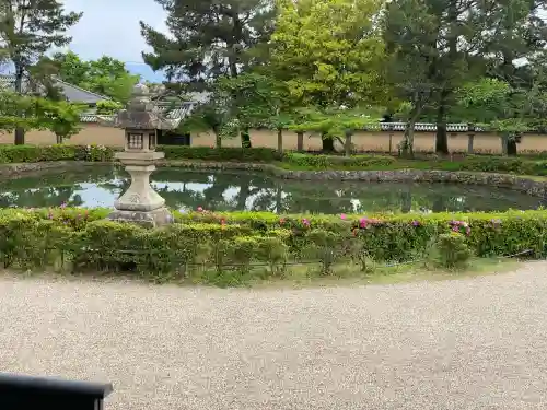 法隆寺の{uncategorized: "未分類", other: "その他", undefined: "問題あり", building: "その他建物", grave: "お墓", sacred_gate: "鳥居", guardian: "狛犬", statue: "像", buddha: "仏像", history: "歴史", nature: "自然", garden: "庭園", animal: "動物", pagoda: "塔", temizu: "手水舎", mountain_gate: "山門・神門", sanctuary: "本殿・本堂", subordinate: "末社・摂社", art: "芸術", scenery: "景色", jizo: "地蔵", ema: "絵馬", goshuin: "御朱印", omikuji: "おみくじ", items: "授与品その他", amulet: "お守り", goshuincho: "御朱印帳", eats: "食事", festival: "お祭り", votive_dance: "神楽", shichigosan: "七五三参", wedding: "結婚式", experience: "体験その他", initially: "初詣", around: "周辺", anti_infection: "感染症対策"}