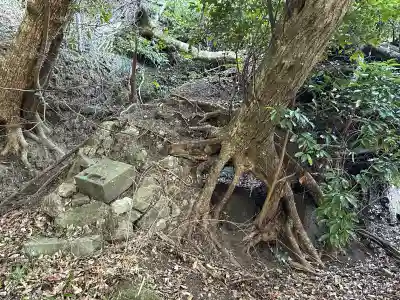 舎那院の{uncategorized: "未分類", other: "その他", undefined: "問題あり", building: "その他建物", grave: "お墓", sacred_gate: "鳥居", guardian: "狛犬", statue: "像", buddha: "仏像", history: "歴史", nature: "自然", garden: "庭園", animal: "動物", pagoda: "塔", temizu: "手水舎", mountain_gate: "山門・神門", sanctuary: "本殿・本堂", subordinate: "末社・摂社", art: "芸術", scenery: "景色", jizo: "地蔵", ema: "絵馬", goshuin: "御朱印", omikuji: "おみくじ", items: "授与品その他", amulet: "お守り", goshuincho: "御朱印帳", eats: "食事", festival: "お祭り", votive_dance: "神楽", shichigosan: "七五三参", wedding: "結婚式", experience: "体験その他", initially: "初詣", around: "周辺", anti_infection: "感染症対策"}