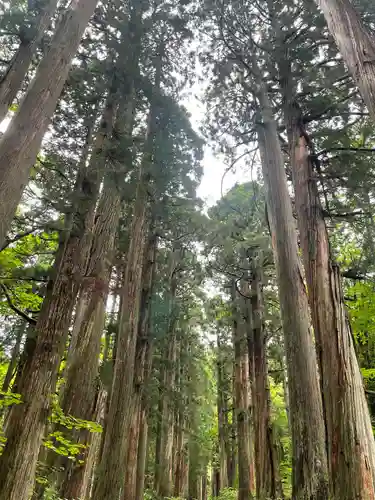 戸隠神社九頭龍社(長野県)