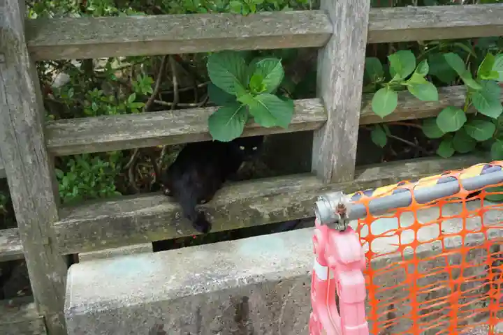 蚕影神社の動物