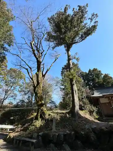 足柄神社(静岡県)