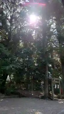 水度神社の{uncategorized: "未分類", other: "その他", undefined: "問題あり", building: "その他建物", grave: "お墓", sacred_gate: "鳥居", guardian: "狛犬", statue: "像", buddha: "仏像", history: "歴史", nature: "自然", garden: "庭園", animal: "動物", pagoda: "塔", temizu: "手水舎", mountain_gate: "山門・神門", sanctuary: "本殿・本堂", subordinate: "末社・摂社", art: "芸術", scenery: "景色", jizo: "地蔵", ema: "絵馬", goshuin: "御朱印", omikuji: "おみくじ", items: "授与品その他", amulet: "お守り", goshuincho: "御朱印帳", eats: "食事", festival: "お祭り", votive_dance: "神楽", shichigosan: "七五三参", wedding: "結婚式", experience: "体験その他", initially: "初詣", around: "周辺", anti_infection: "感染症対策"}