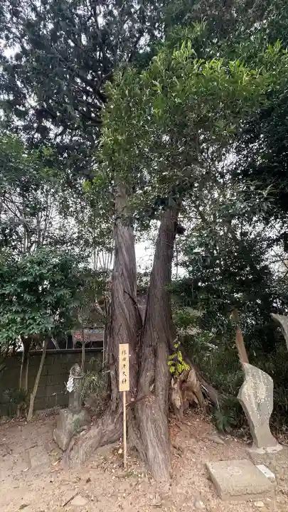 星宮神社(栃木県)