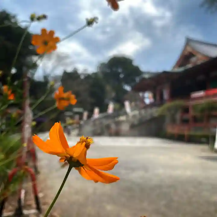 瀧泉寺(目黒不動尊)(東京都)