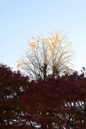 国宝　長寿寺(滋賀県)