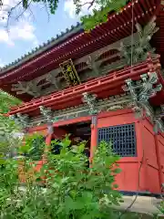 楽法寺（雨引観音）の山門