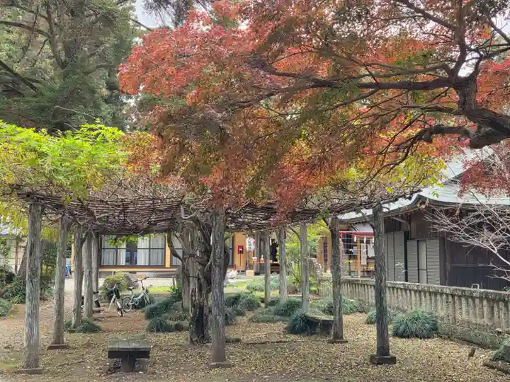 大神神社(栃木県)