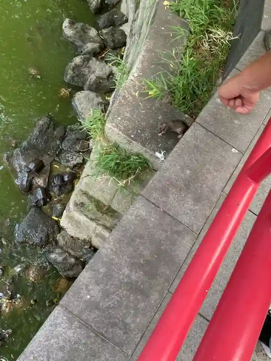 亀戸天神社の{uncategorized: "未分類", other: "その他", undefined: "問題あり", building: "その他建物", grave: "お墓", sacred_gate: "鳥居", guardian: "狛犬", statue: "像", buddha: "仏像", history: "歴史", nature: "自然", garden: "庭園", animal: "動物", pagoda: "塔", temizu: "手水舎", mountain_gate: "山門・神門", sanctuary: "本殿・本堂", subordinate: "末社・摂社", art: "芸術", scenery: "景色", jizo: "地蔵", ema: "絵馬", goshuin: "御朱印", omikuji: "おみくじ", items: "授与品その他", amulet: "お守り", goshuincho: "御朱印帳", eats: "食事", festival: "お祭り", votive_dance: "神楽", shichigosan: "七五三参", wedding: "結婚式", experience: "体験その他", initially: "初詣", around: "周辺", anti_infection: "感染症対策"}