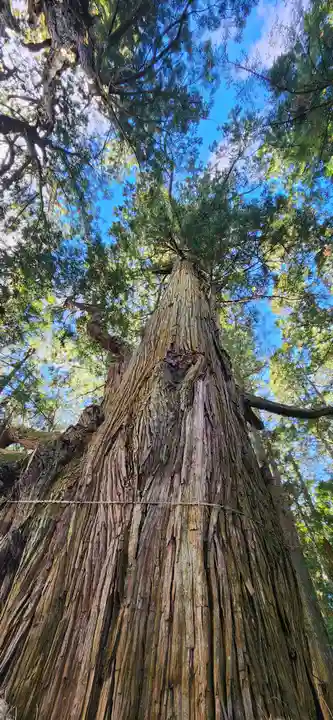 大悲山の石仏(福島県)
