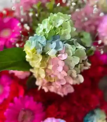 札幌諏訪神社の手水舎