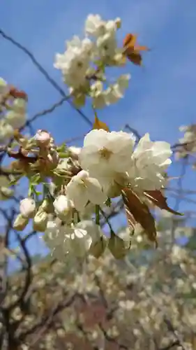 相馬神社(北海道)