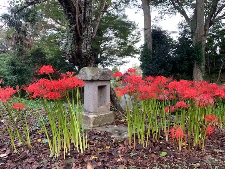 金蔵院(千葉県)