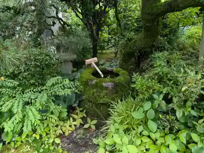 法東山　極楽寺の手水舎