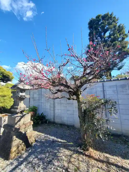 逆藤天満宮(栃木県)