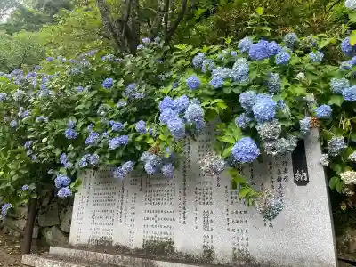 長谷寺(奈良県)
