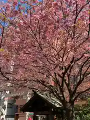 蔵前神社(東京都)