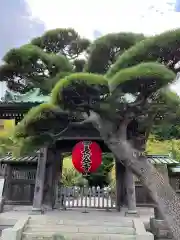 長谷寺(神奈川県)