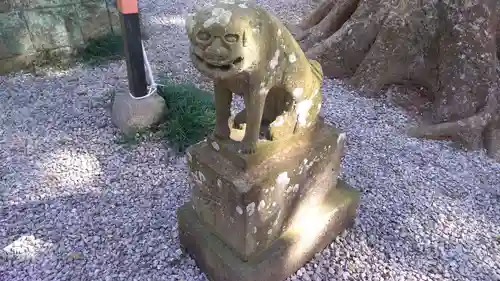 間々田八幡宮の狛犬