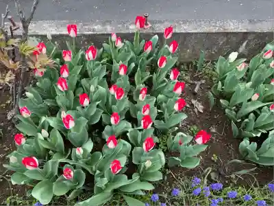 泉蔵寺(神奈川県)