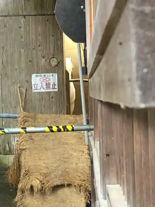 多度大社(三重県)