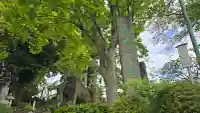善養寺(善養密寺)の{uncategorized: "未分類", other: "その他", undefined: "問題あり", building: "その他建物", grave: "お墓", sacred_gate: "鳥居", guardian: "狛犬", statue: "像", buddha: "仏像", history: "歴史", nature: "自然", garden: "庭園", animal: "動物", pagoda: "塔", temizu: "手水舎", mountain_gate: "山門・神門", sanctuary: "本殿・本堂", subordinate: "末社・摂社", art: "芸術", scenery: "景色", jizo: "地蔵", ema: "絵馬", goshuin: "御朱印", omikuji: "おみくじ", items: "授与品その他", amulet: "お守り", goshuincho: "御朱印帳", eats: "食事", festival: "お祭り", votive_dance: "神楽", shichigosan: "七五三参", wedding: "結婚式", experience: "体験その他", initially: "初詣", around: "周辺", anti_infection: "感染症対策"}