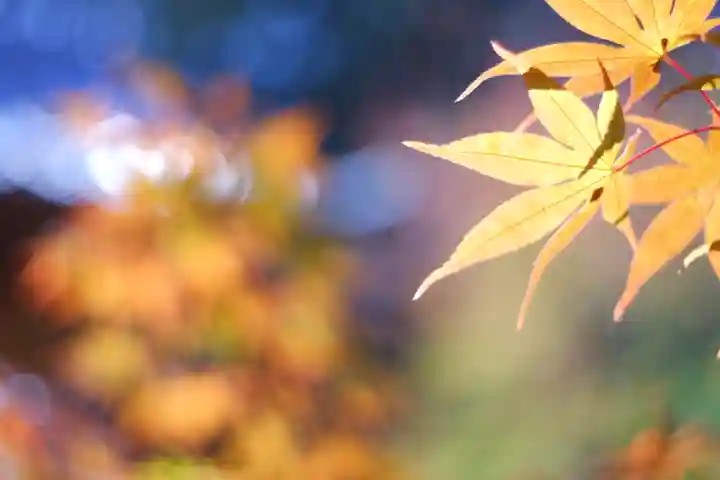 龍田大社(奈良県)