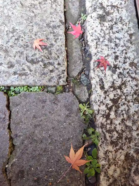宝厳寺(滋賀県)