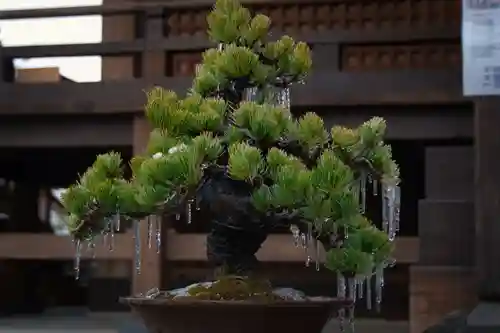 戸越八幡神社(東京都)