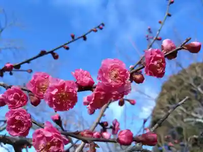 岩津天満宮(愛知県)