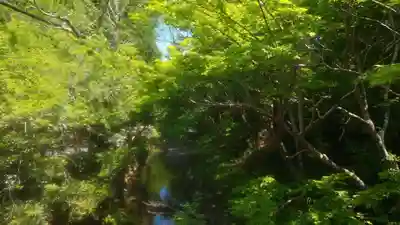 小國神社(静岡県)
