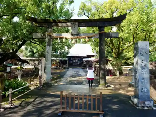 諫早神社（九州総守護  四面宮）の鳥居