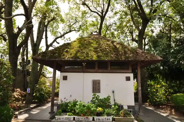 温泉山 安楽寺(四国霊場第六番札所)(徳島県)